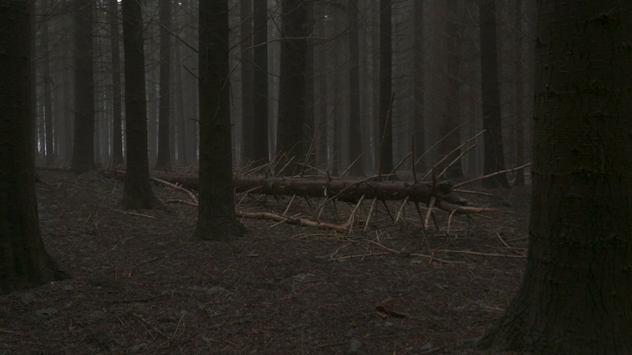 A Phenomenon 7