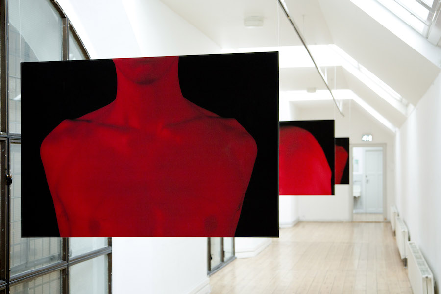 Torso Tvers 5